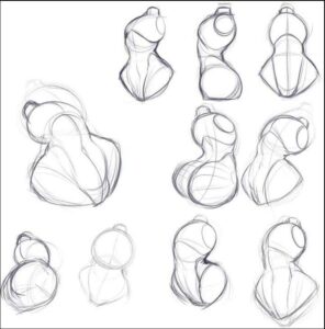 A collection of twelve pencil sketches depict female torso and upper body poses, arranged in two rows. The sketches showcase various angles and details, including head positions, shoulders, hips, and back structures.