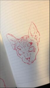 a piece of paper with a picture of a cat on it