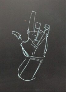 a black and white photo of a black and white bird