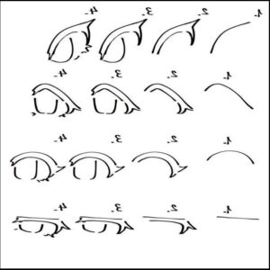 a large group of birds are flying in the air