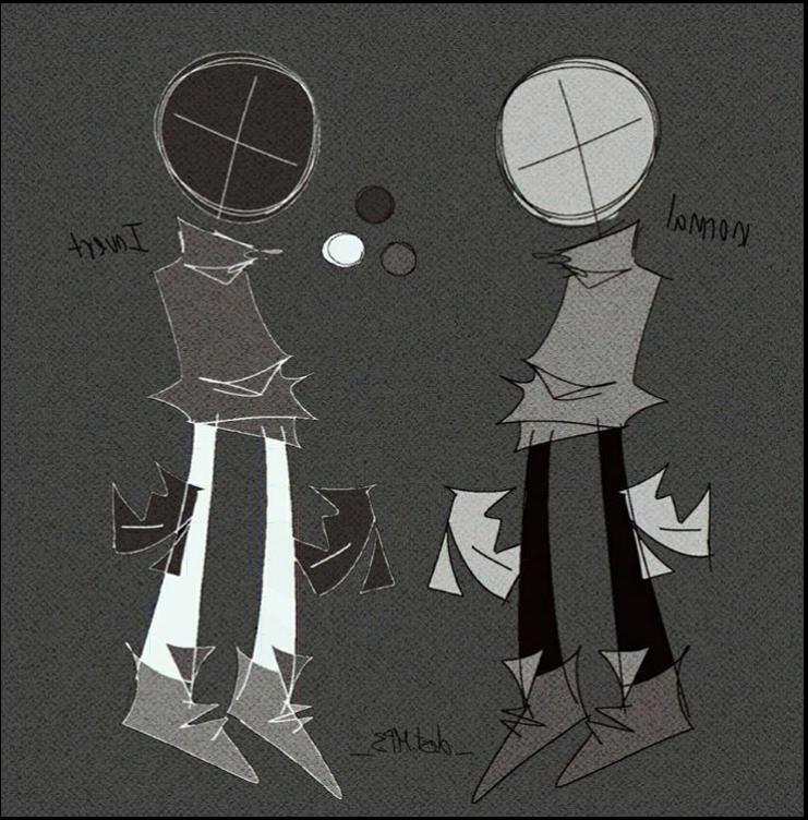 a collage of different types of birds on a wall