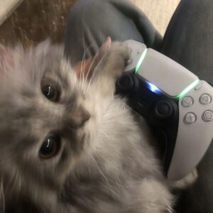 164614510f443be8f7114af577d3c203