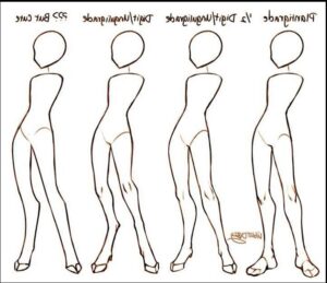 Body Proportions Chart