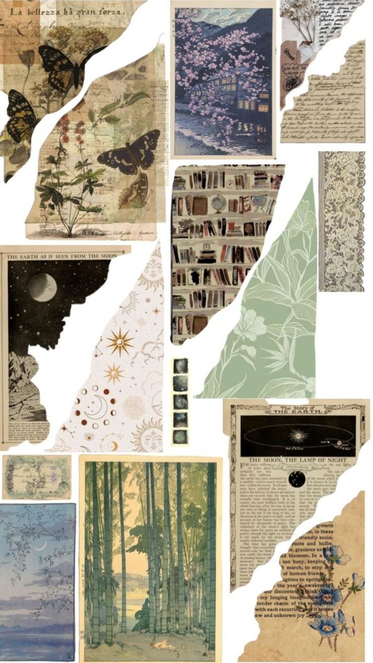 25ea1941b48d151273899416b3a93432