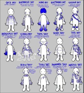 a collage of a cat and a dog on a wall