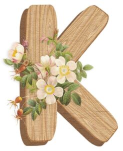 2951920322f586a18407a5c1821cd13f