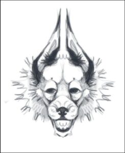 Furry Dog Sketch Furry Dog Sketch