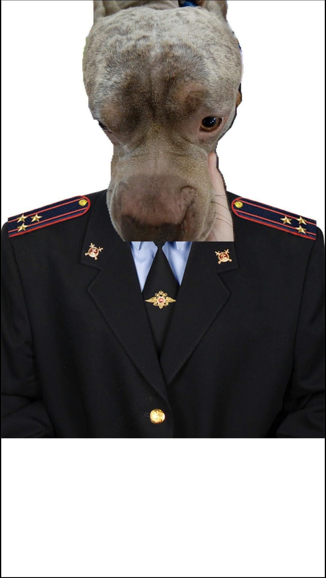 a man in a suit and tie