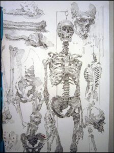 a painting of a man with a large group of white hair