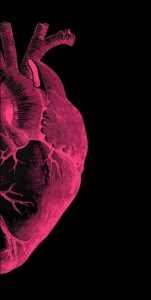 a large black bird is hanging from a rope