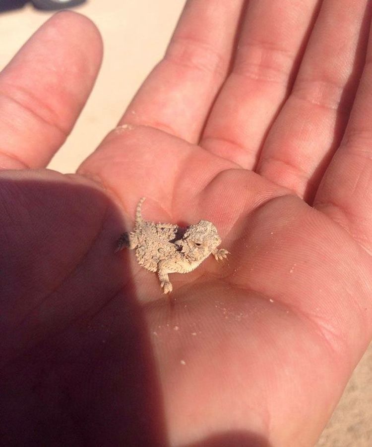 5a561c8c508de8a7e6e9c9d482eb9701