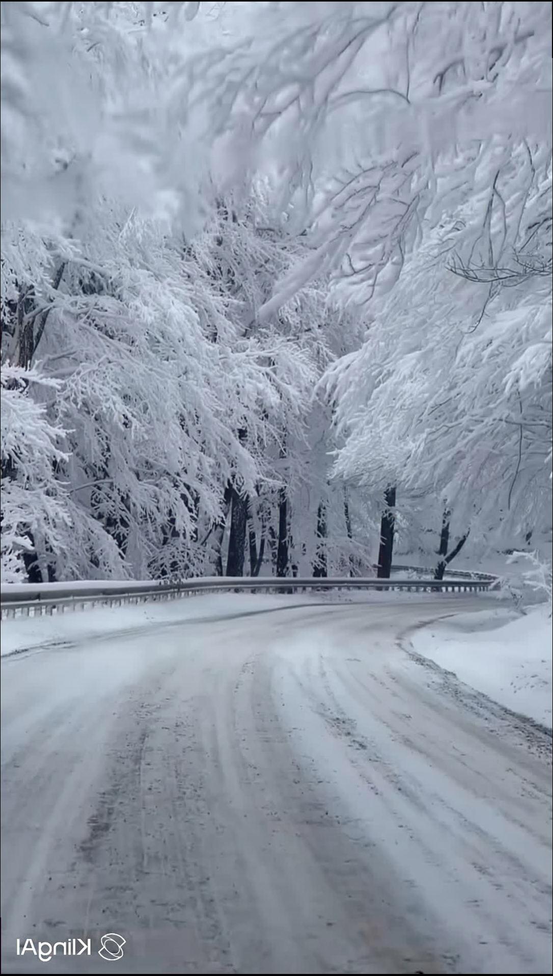 A snow-covered road curves through a forest of snow-laden trees. A guardrail lines the left side of the road.
