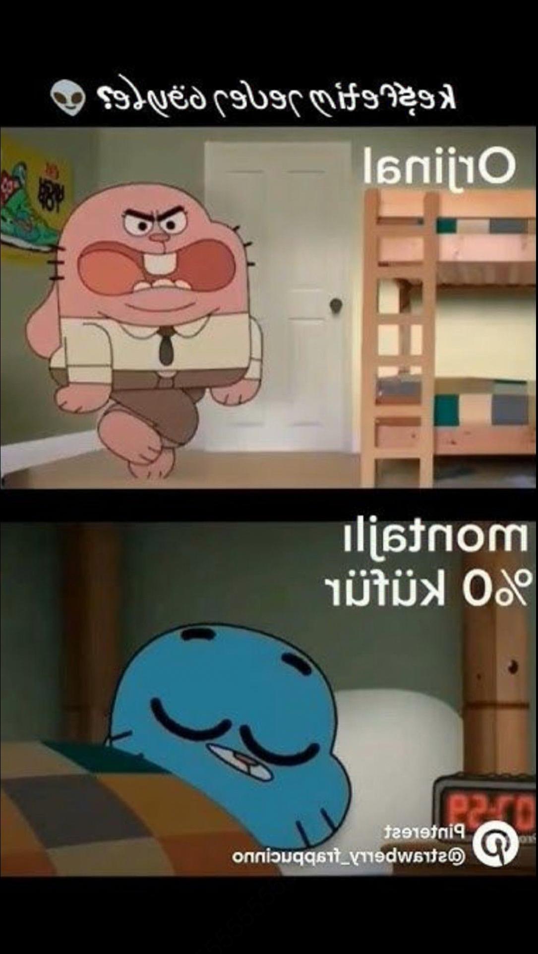 a cartoon of a cat with a cartoon of a bear