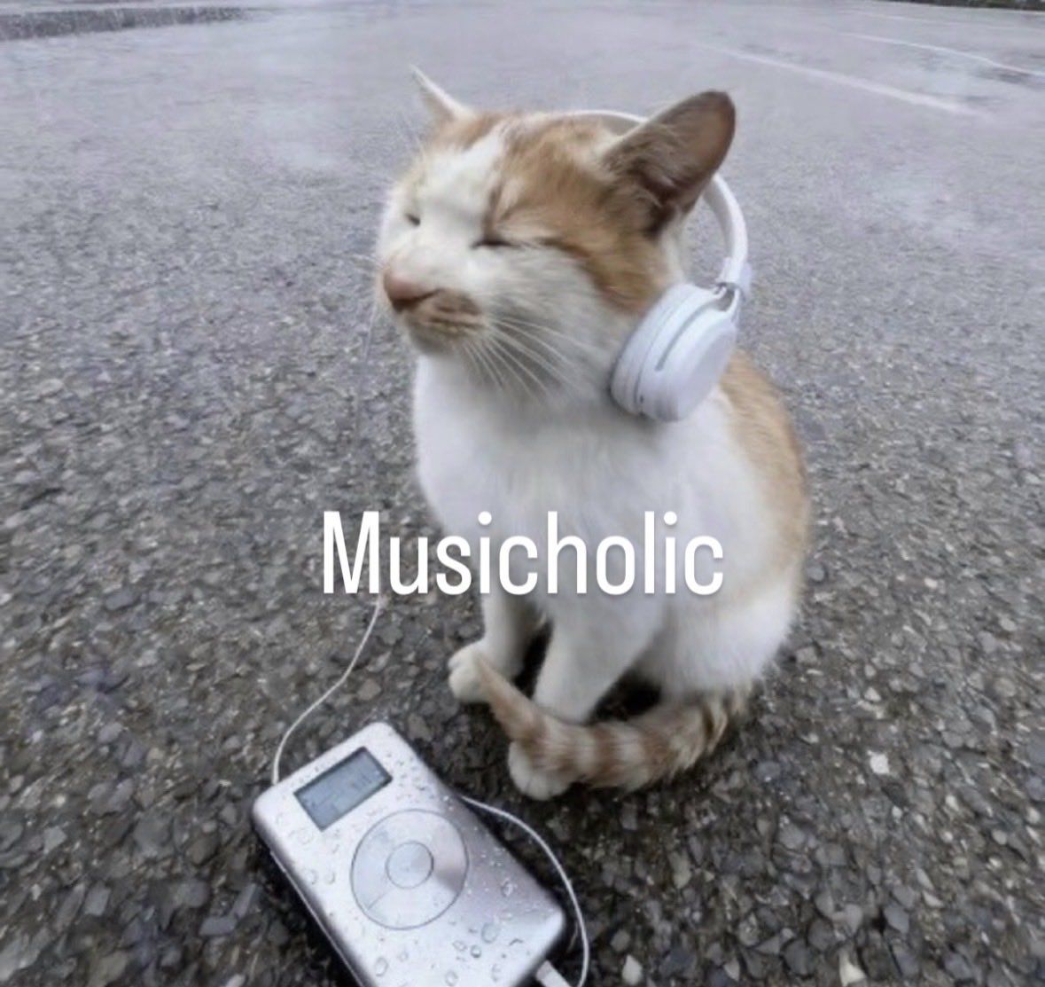 8c1af4f776cc0da42397044af3807b69