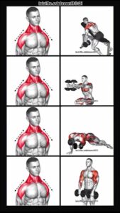 Dumbbell Chest Press