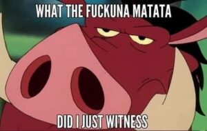 What the fuckuna matata