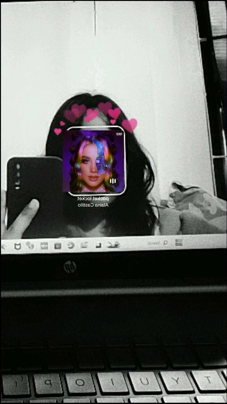 a laptop with a cat on it